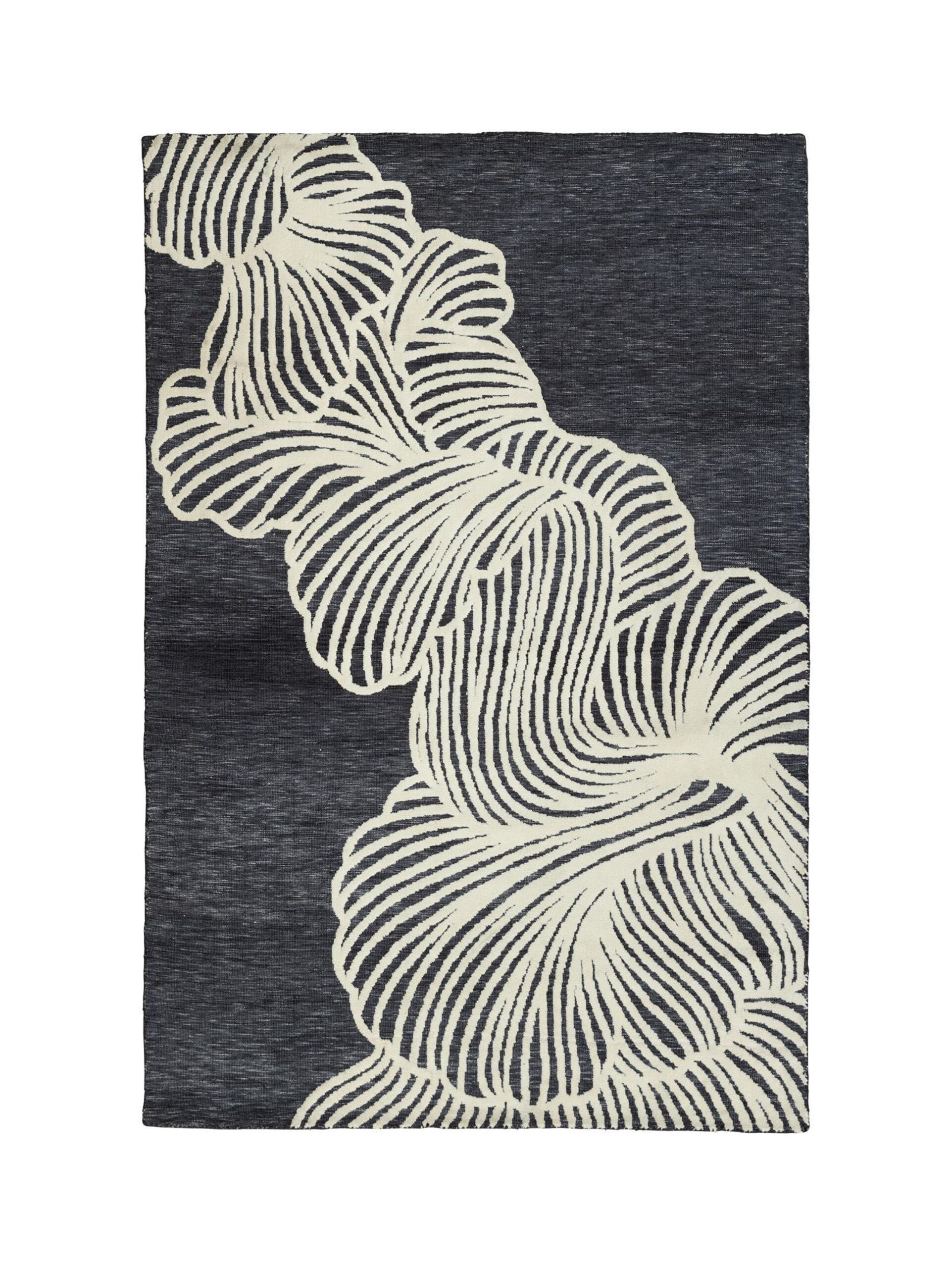 Aurelia Galaxy (200x300)