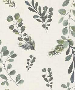 Eucalyptus - Forrest